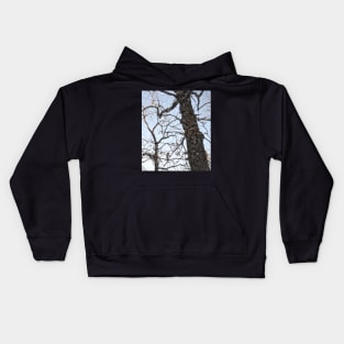 Trees 39 by Kristalin Davis Kids Hoodie